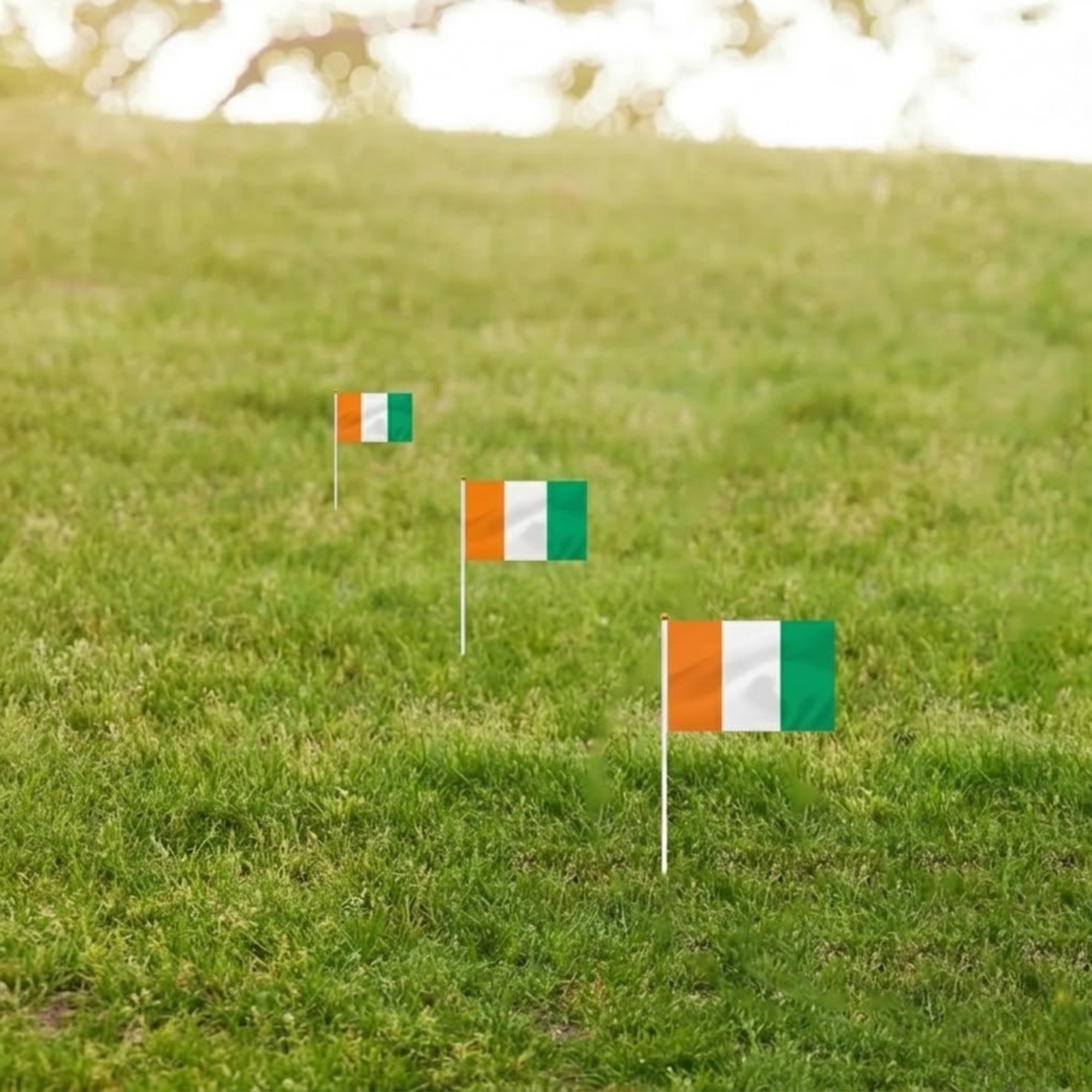 10 Pieces Of Official FIFA 2026 Côte d'Ivoire Mini Flags