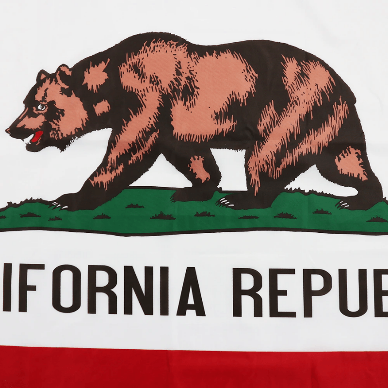 California State Flag – High-Quality Flag for Indoor Outdoor Use-Globe Flags