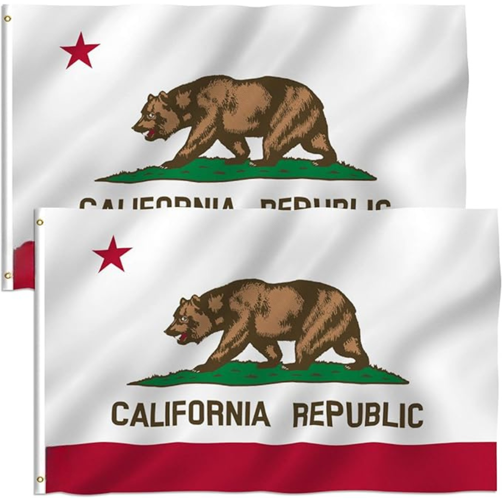 California State Flag With Grommets-Globe Flags