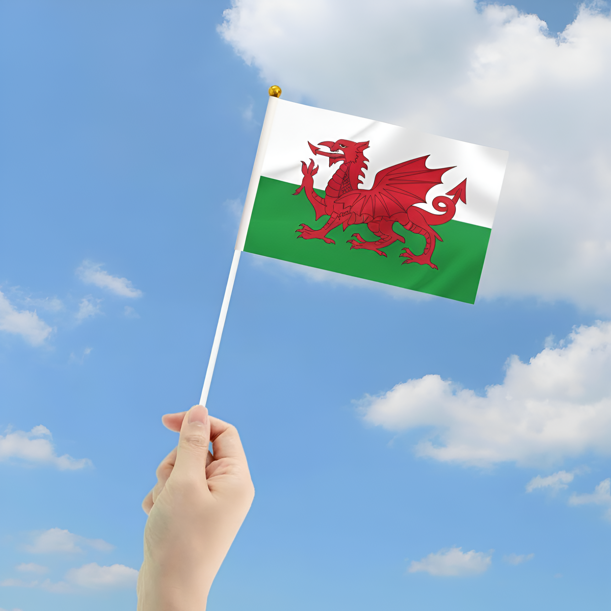 10 Pieces Of Official FIFA 2026 Wales Mini Flags close-up showing fabric texture and vivid colors