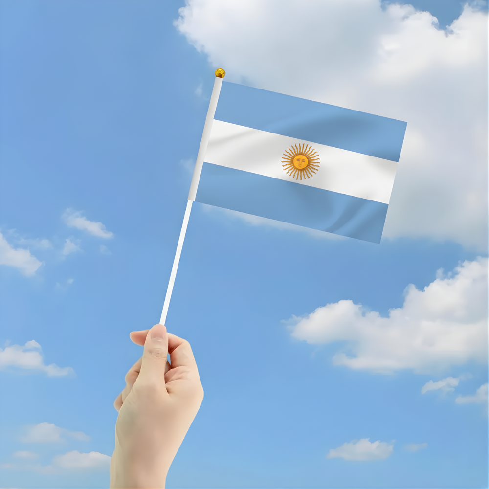 10 Pieces Of Official FIFA 2026 Argentina Mini Flags