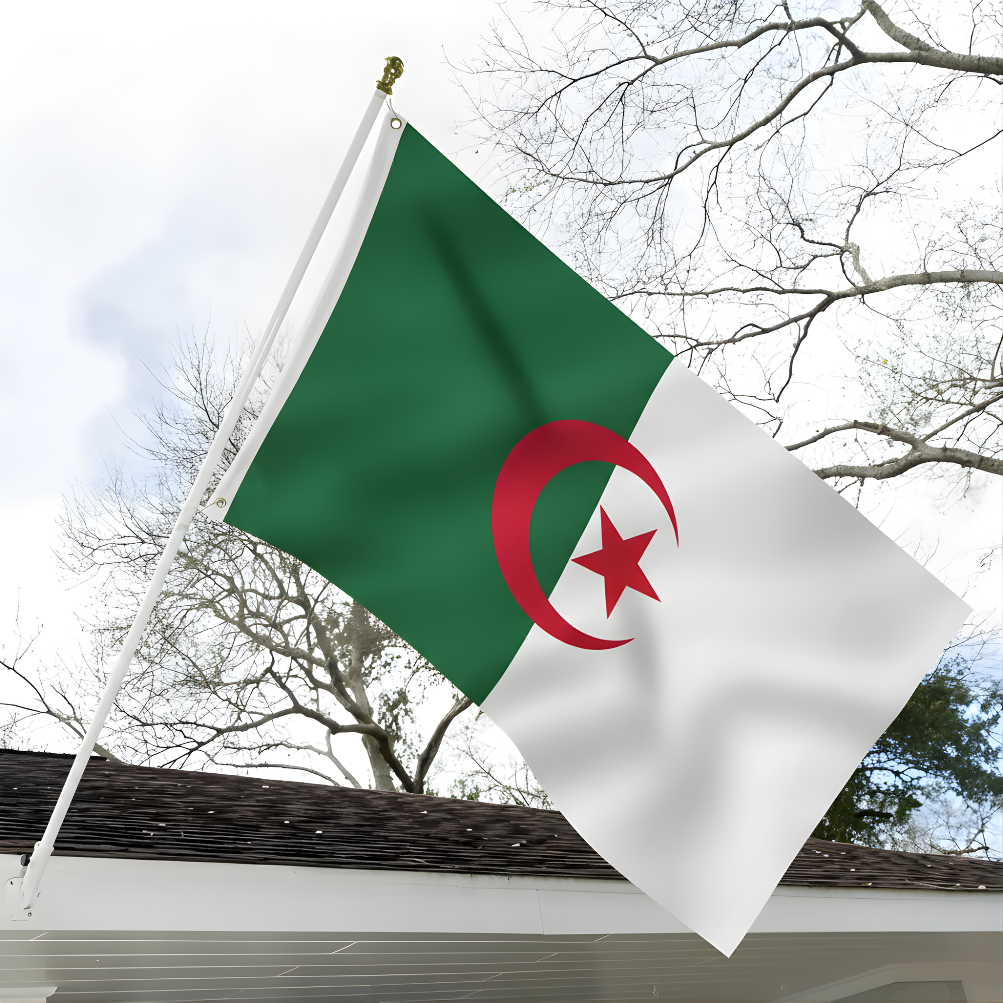 Official FIFA 2026 Algeria Flag