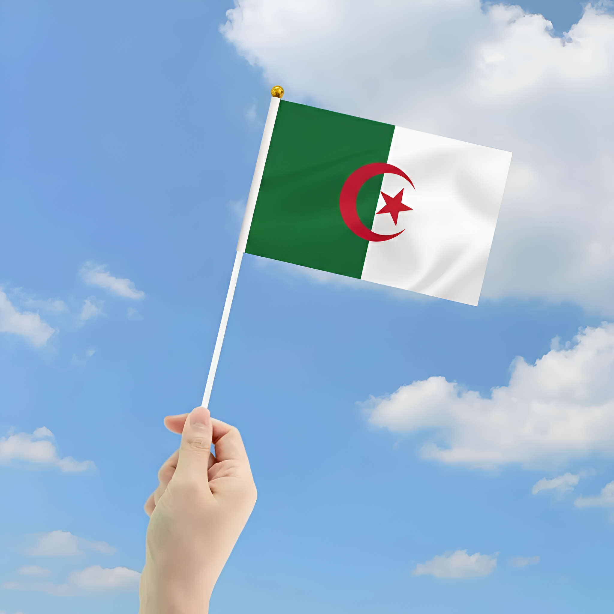 10 Pieces Of Official FIFA 2026 Algeria Mini Flags