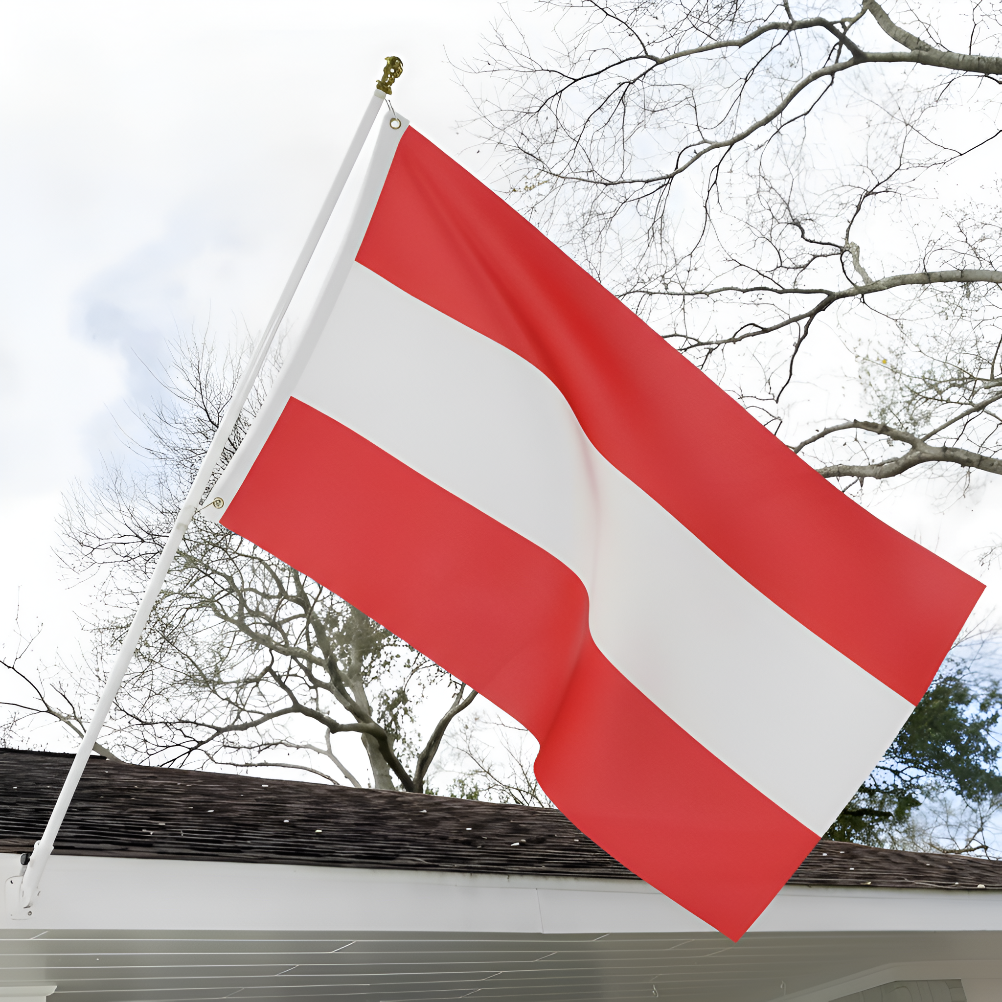 Official FIFA 2026 Austria Flag