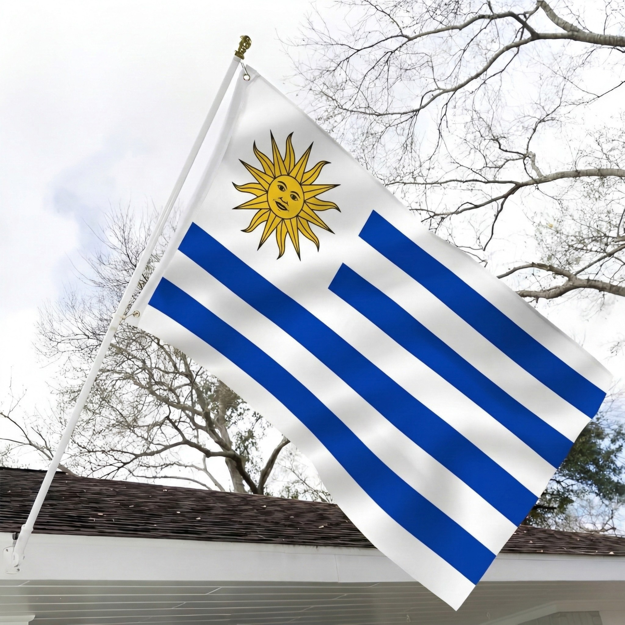 Official FIFA 2026 Uruguay Flag