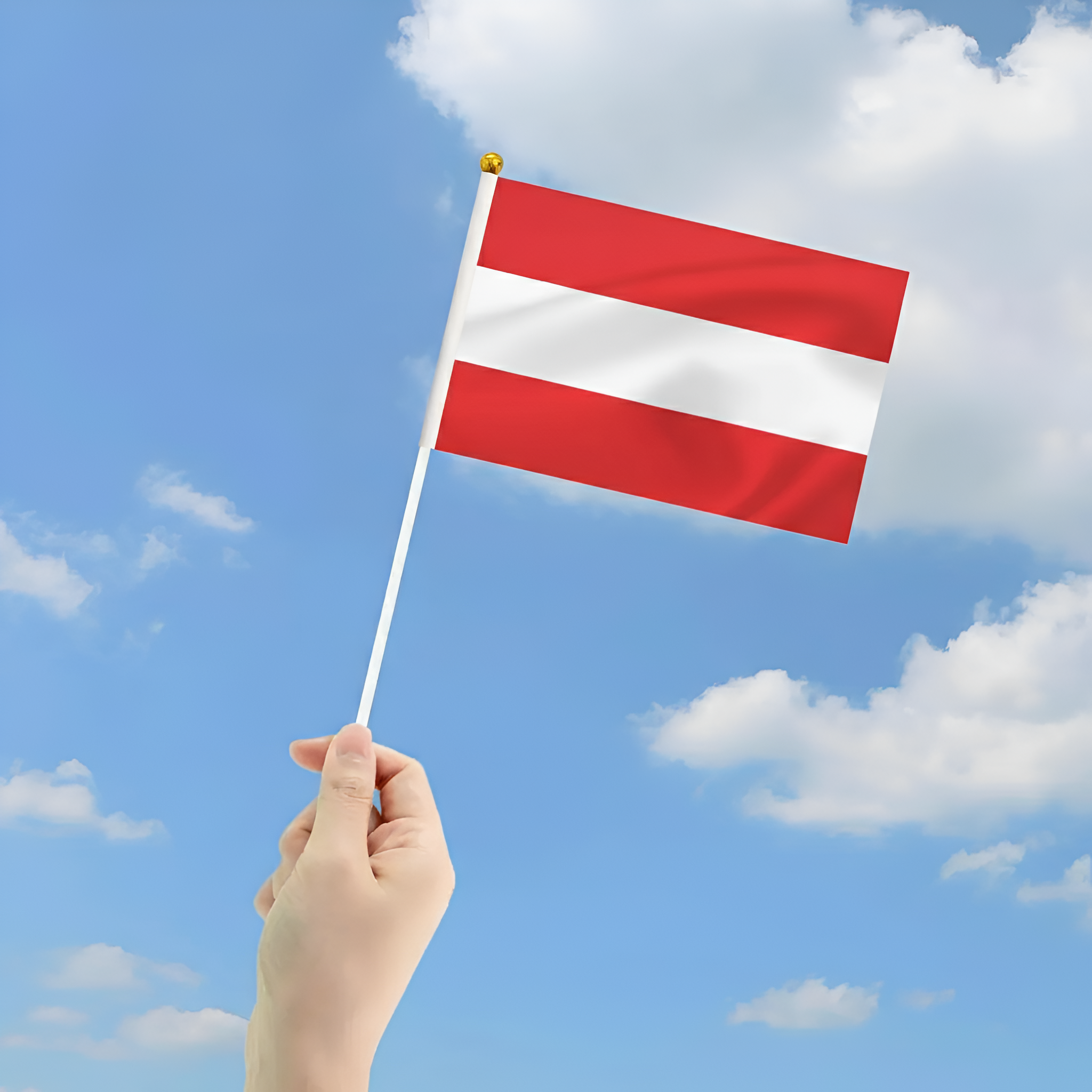 10 Pieces Of Official FIFA 2026 Austria Mini Flags