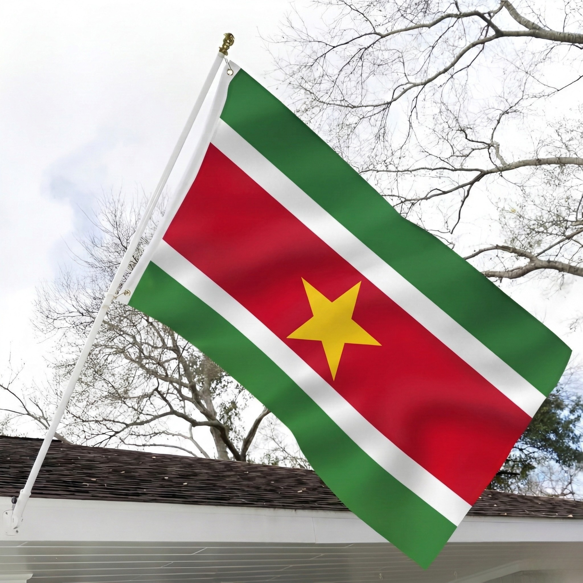 Official FIFA 2026 Suriname Flag