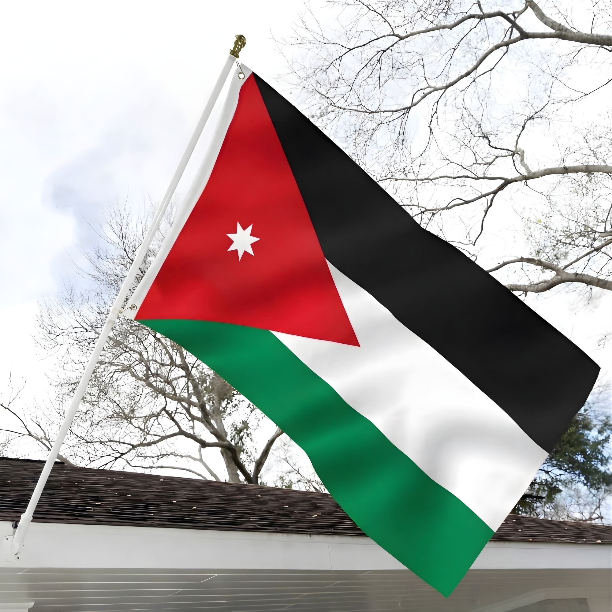 Official FIFA 2026 Jordan Flag