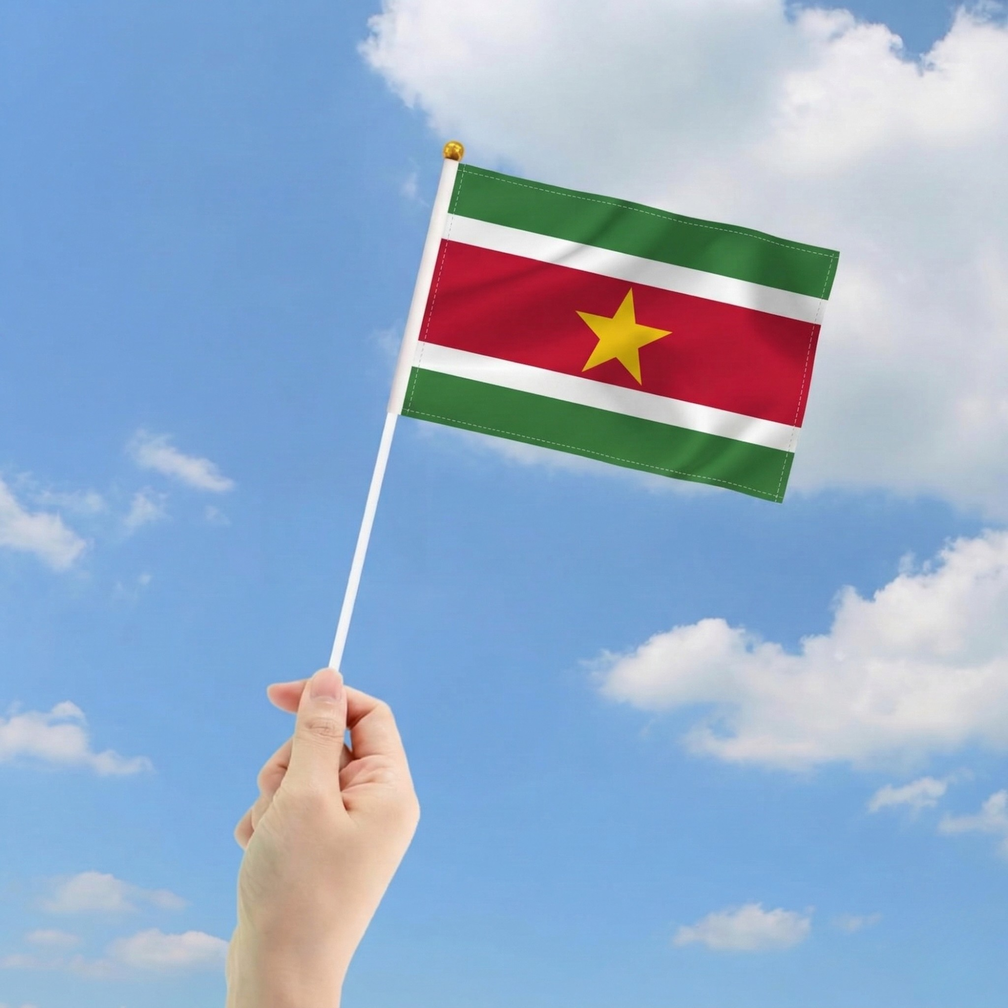 10 Pieces Of Official FIFA 2026 Suriname Mini Flags