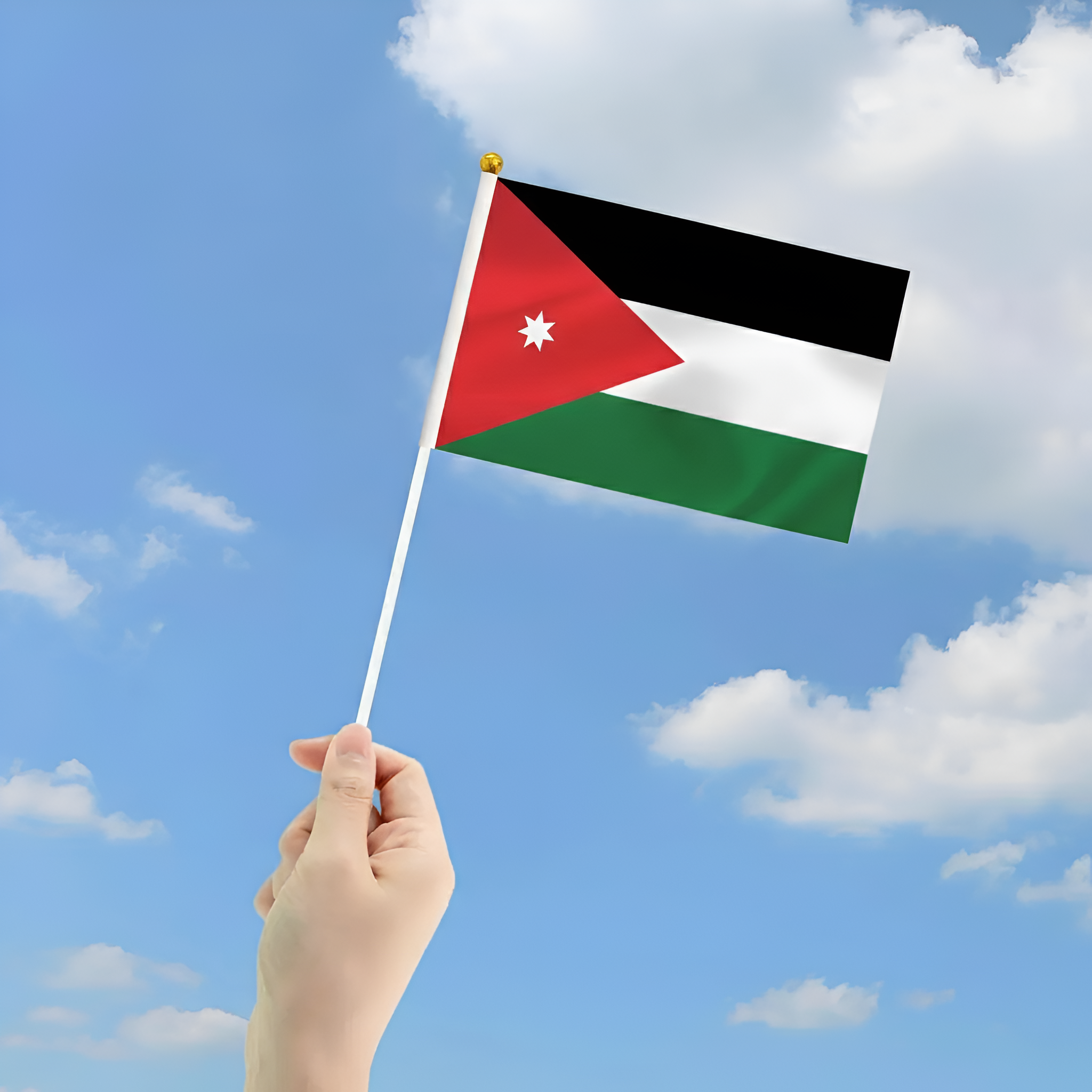 10 Pieces Of Official FIFA 2026 Jordan Mini Flags