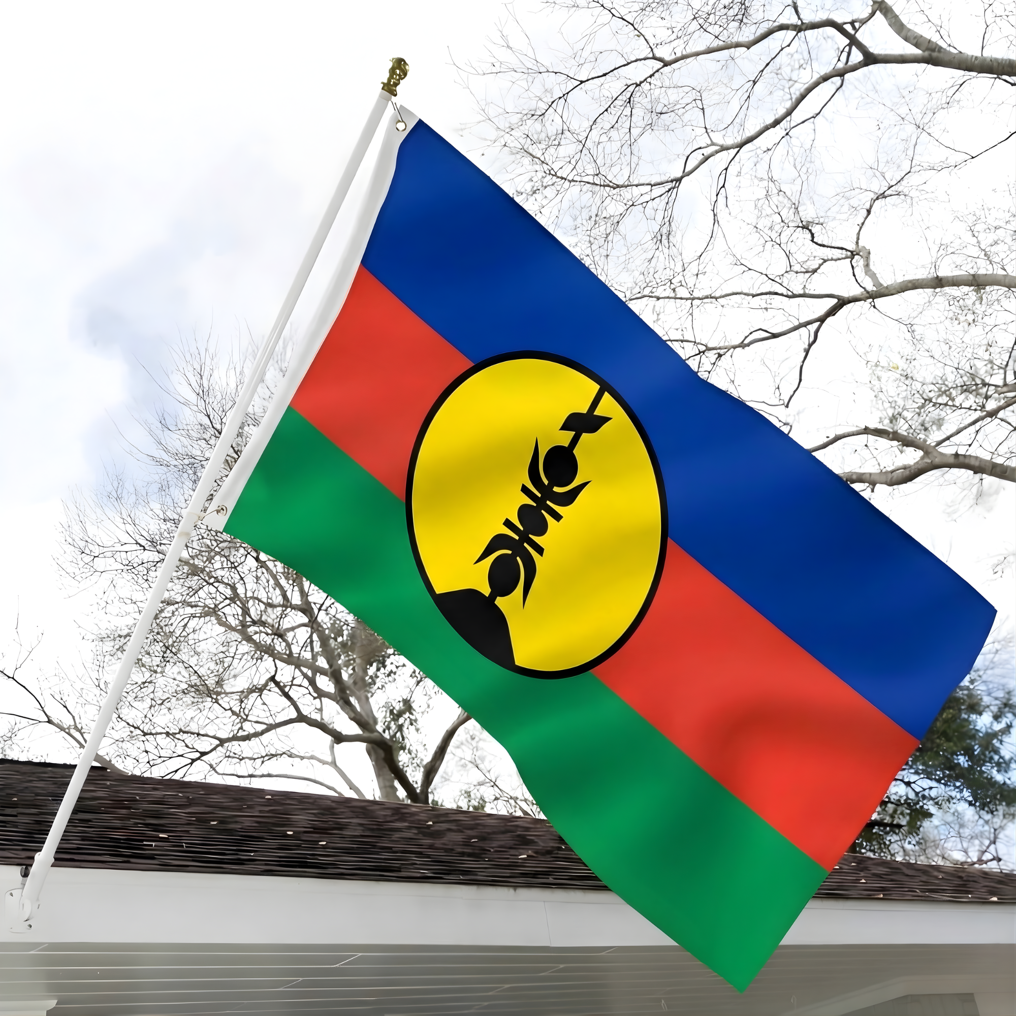 Official FIFA 2026 New Caledonia Flag