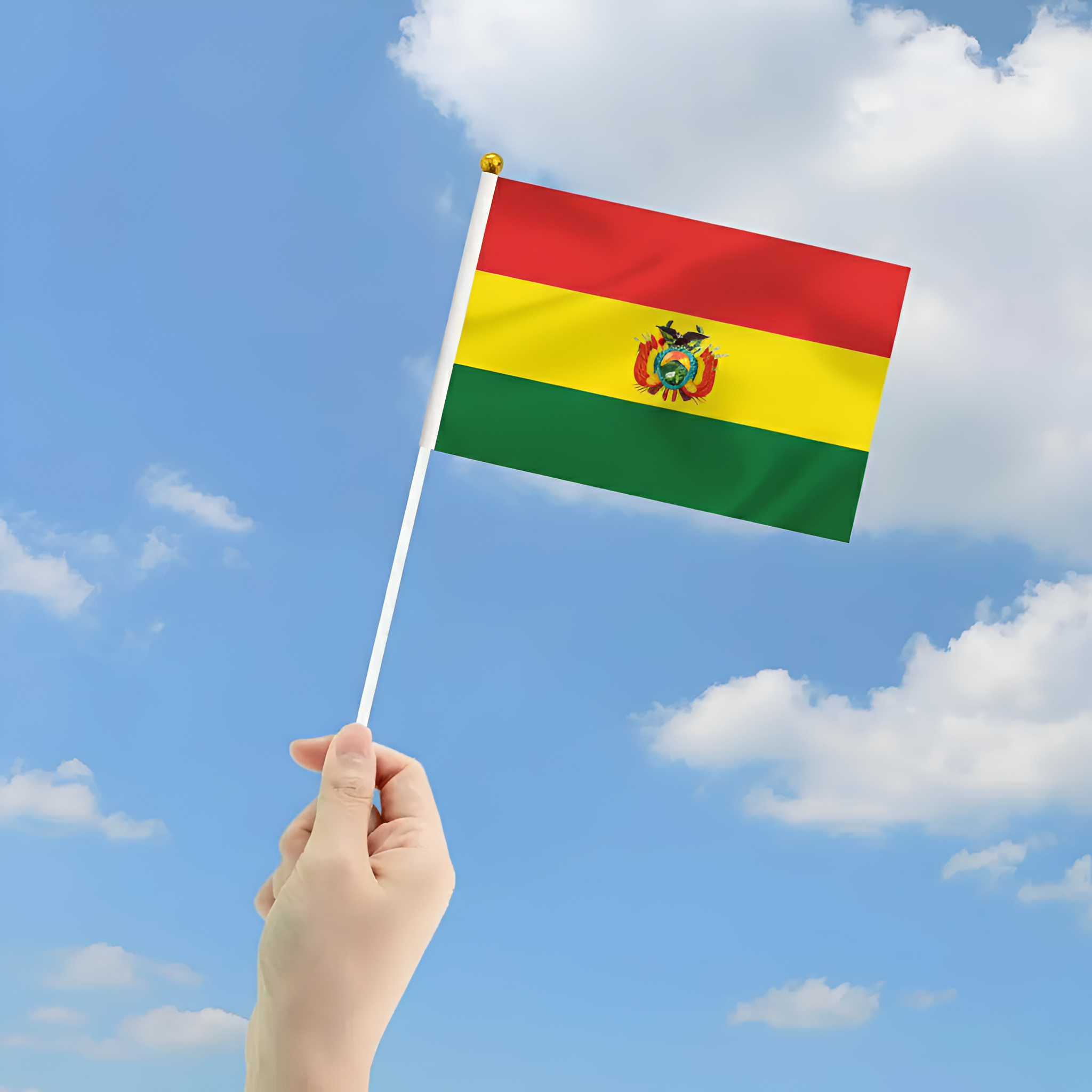 10 Pieces Of Official FIFA 2026 Bolivia Mini Flags