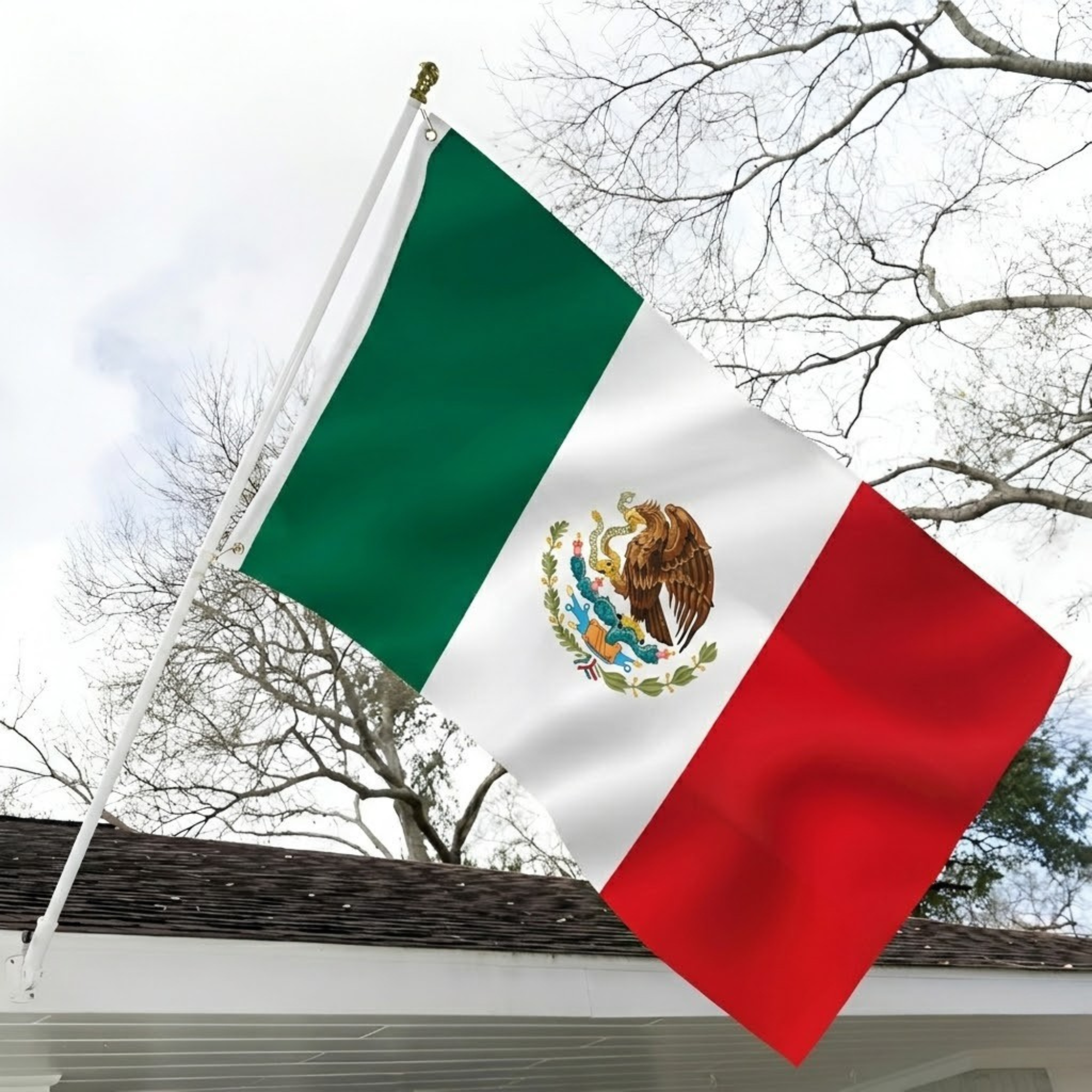 Official FIFA 2026 Mexico Flag