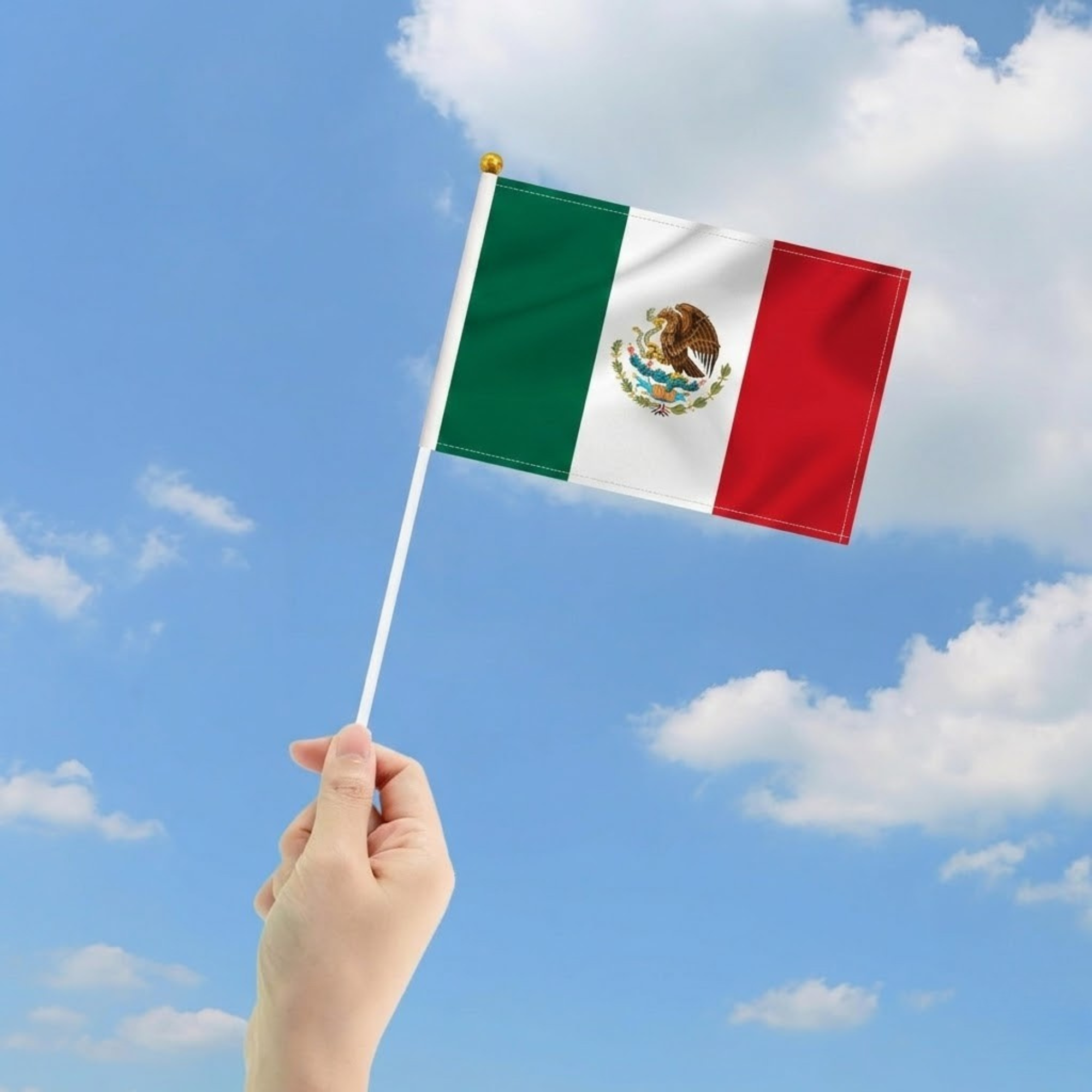 10 Pieces Of Official FIFA 2026 Mexico Mini Flags close-up showing fabric texture and vivid colors