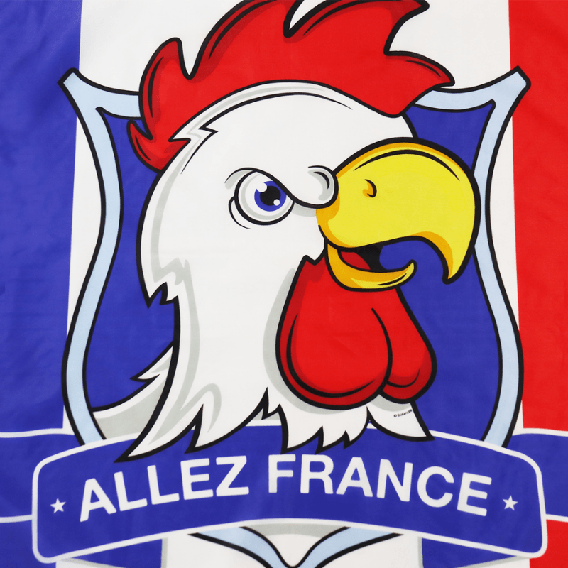 Allez France Footix Flag flying on outdoor flagpole