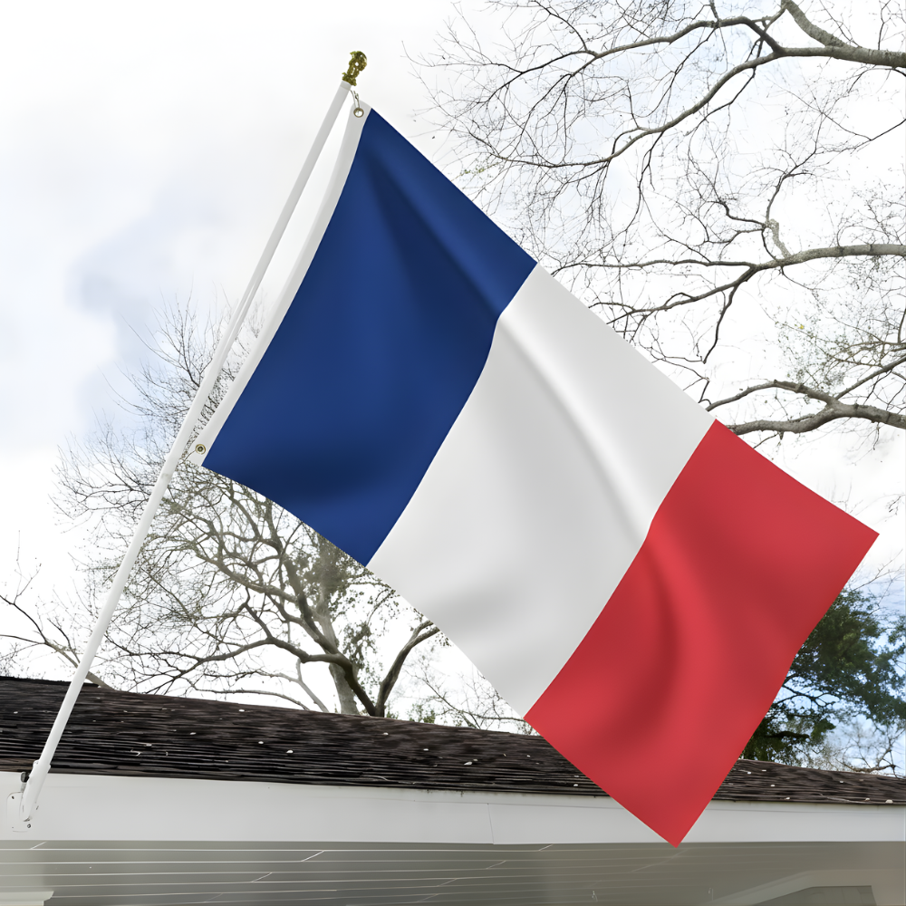 Official FIFA 2026 France Flag