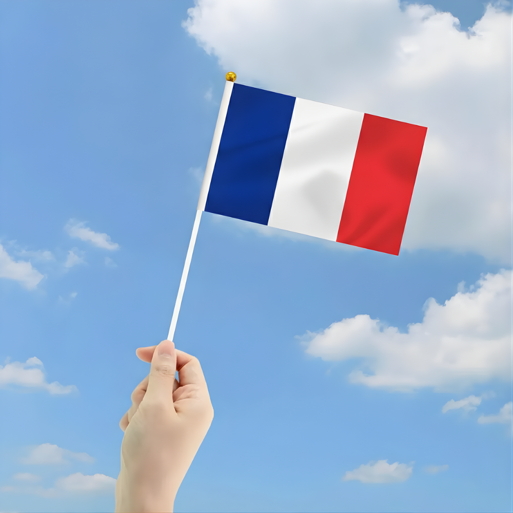 10 Pieces Of Official FIFA 2026 France Mini Flags