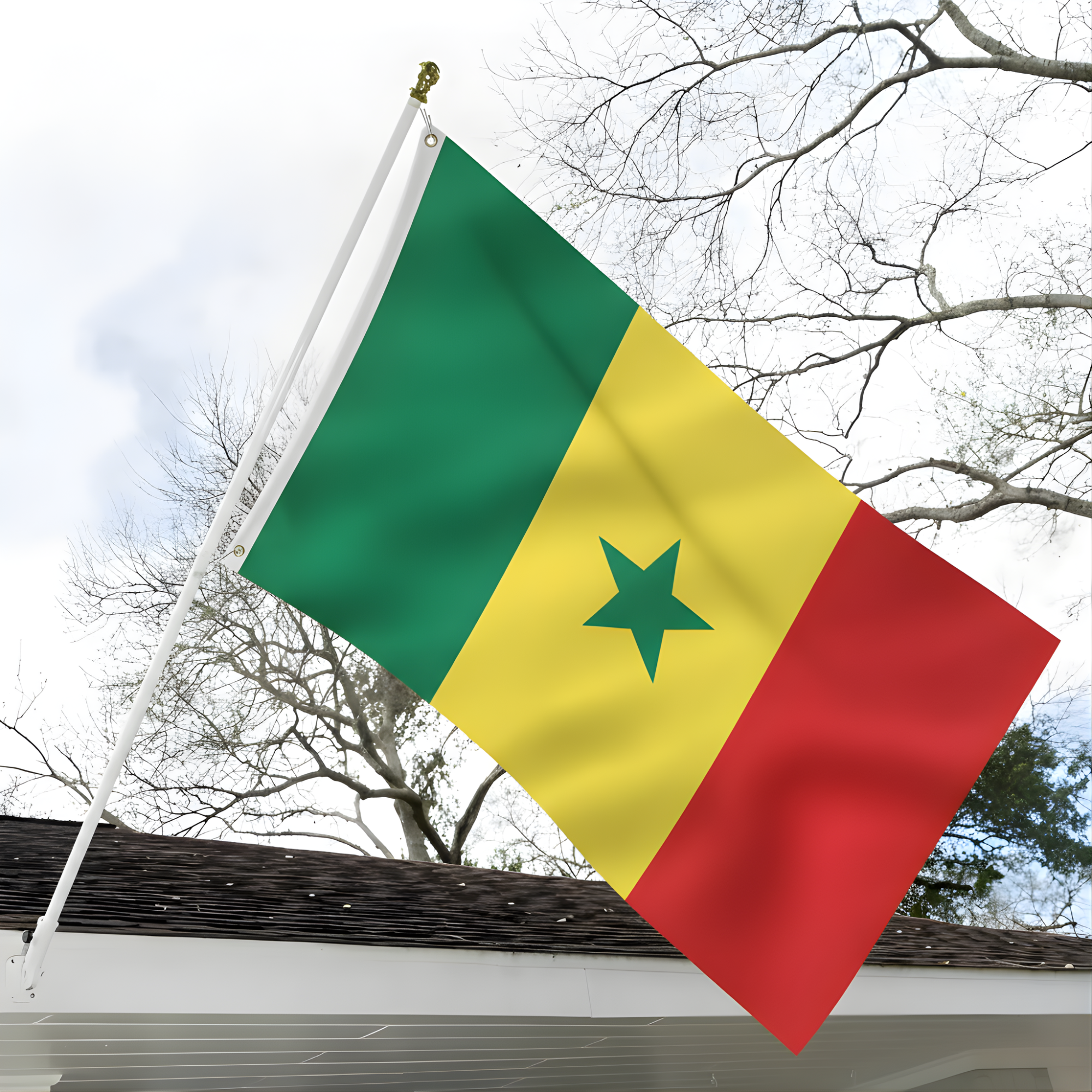 Official FIFA 2026 Senegal Flag