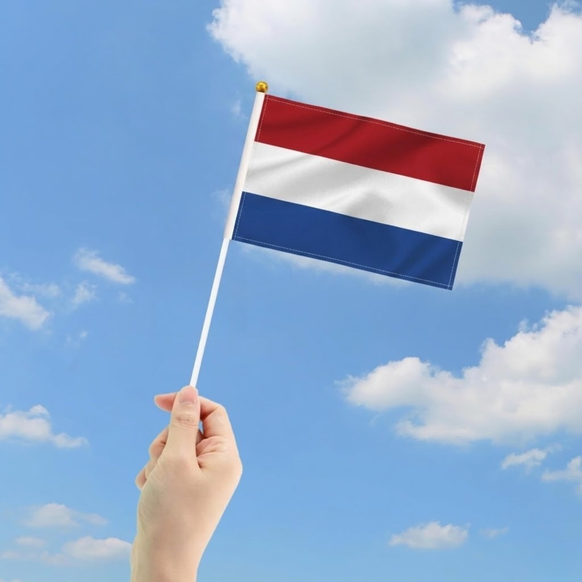 10 Pieces Of Official FIFA 2026 Netherlands Mini Flags