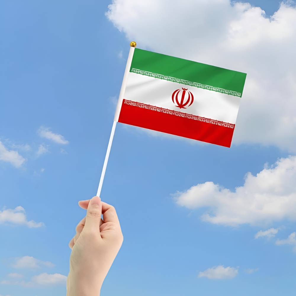 10 Pieces Of Official FIFA 2026 Iran Mini Flags