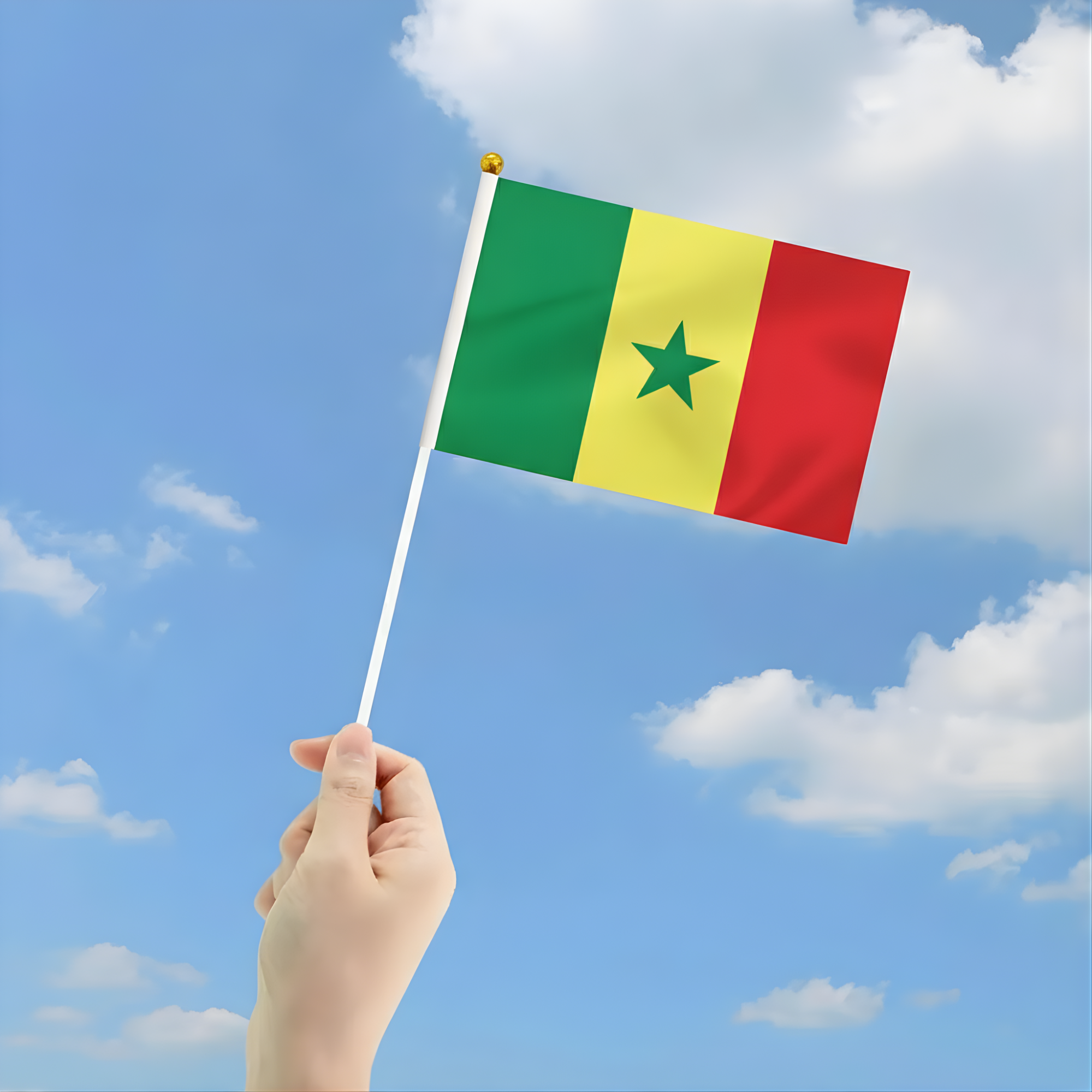 10 Pieces Of Official FIFA 2026 Senegal Mini Flags