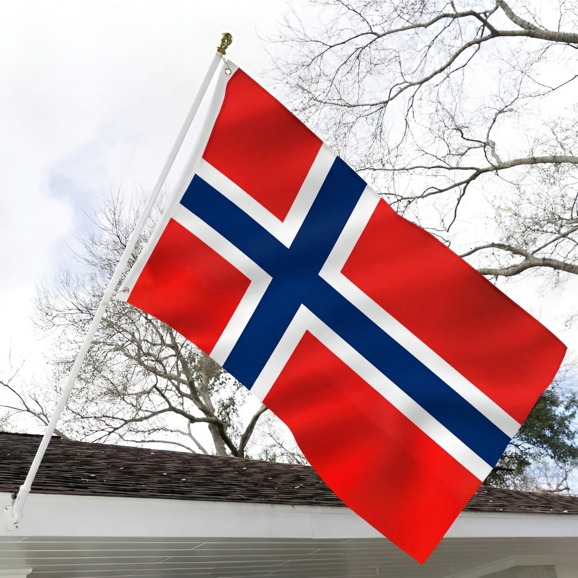 Official FIFA 2026 Norway Flag