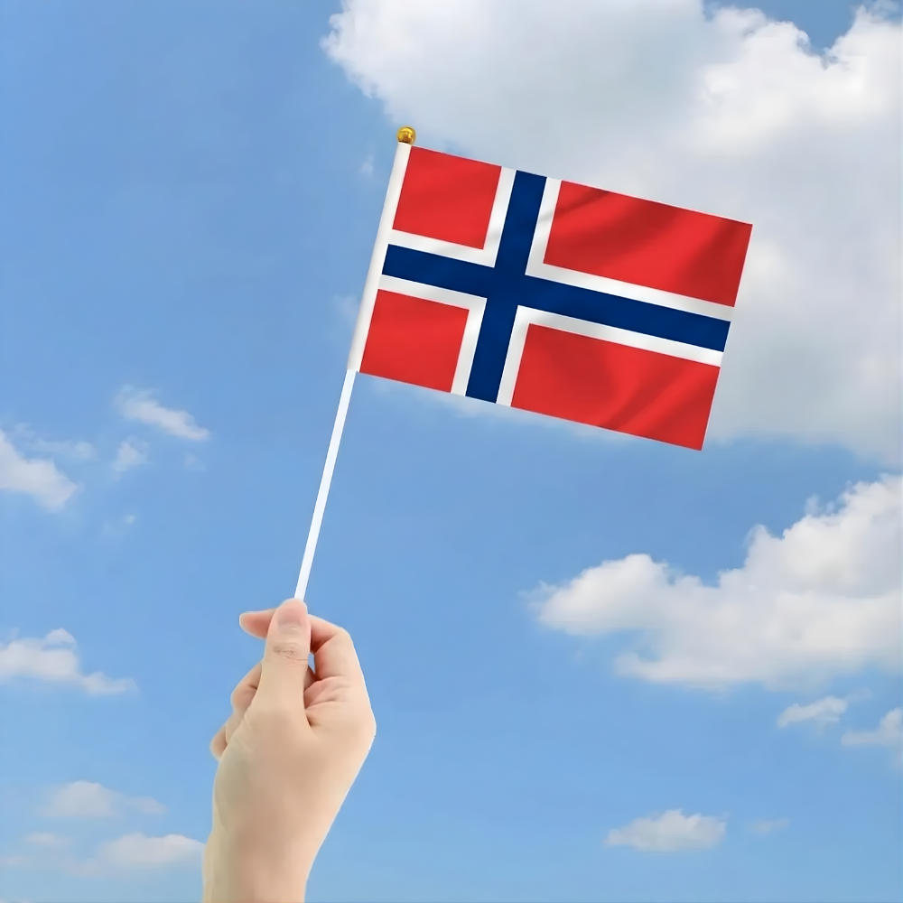 10 Pieces Of Official FIFA 2026 Norway Mini Flags