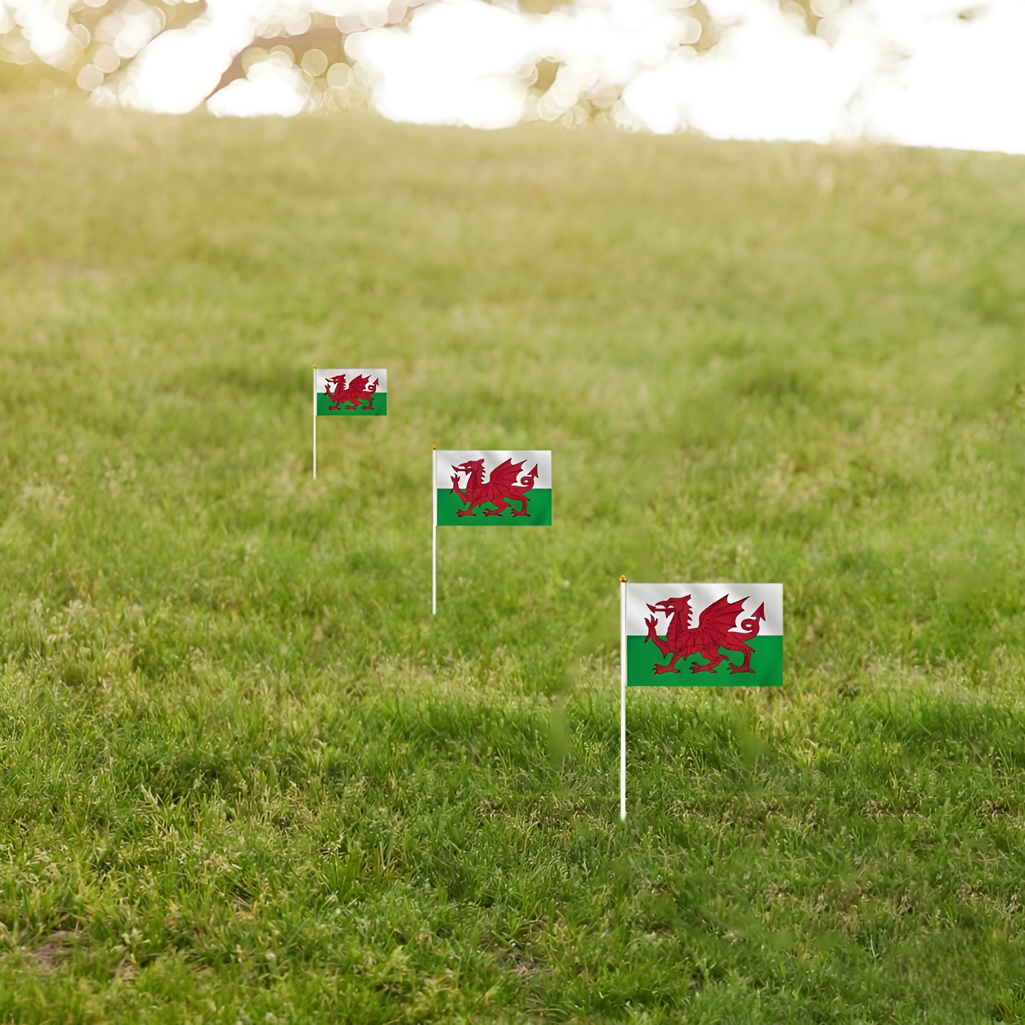 10 Pieces Of Official FIFA 2026 Wales Mini Flags with brass grommet hardware detail