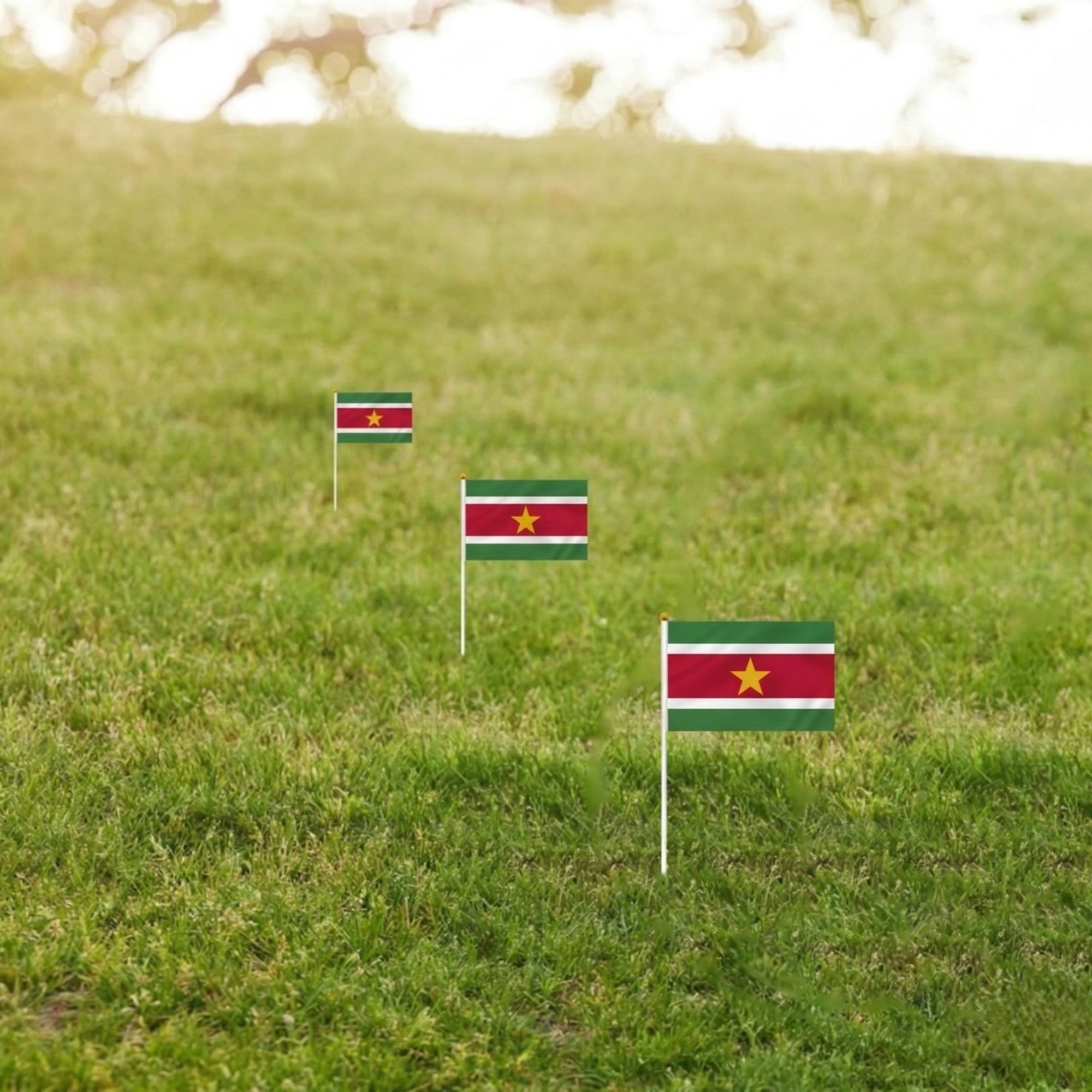 10 Pieces Of Official FIFA 2026 Suriname Mini Flags