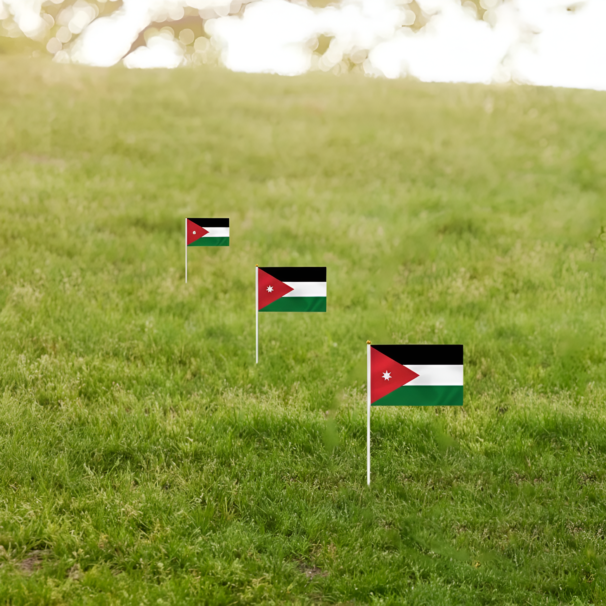 10 Pieces Of Official FIFA 2026 Jordan Mini Flags