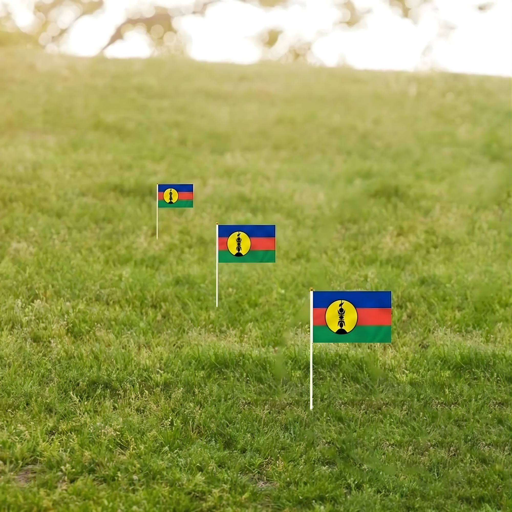 10 Pieces Of Official FIFA 2026 New Caledonia Mini Flags