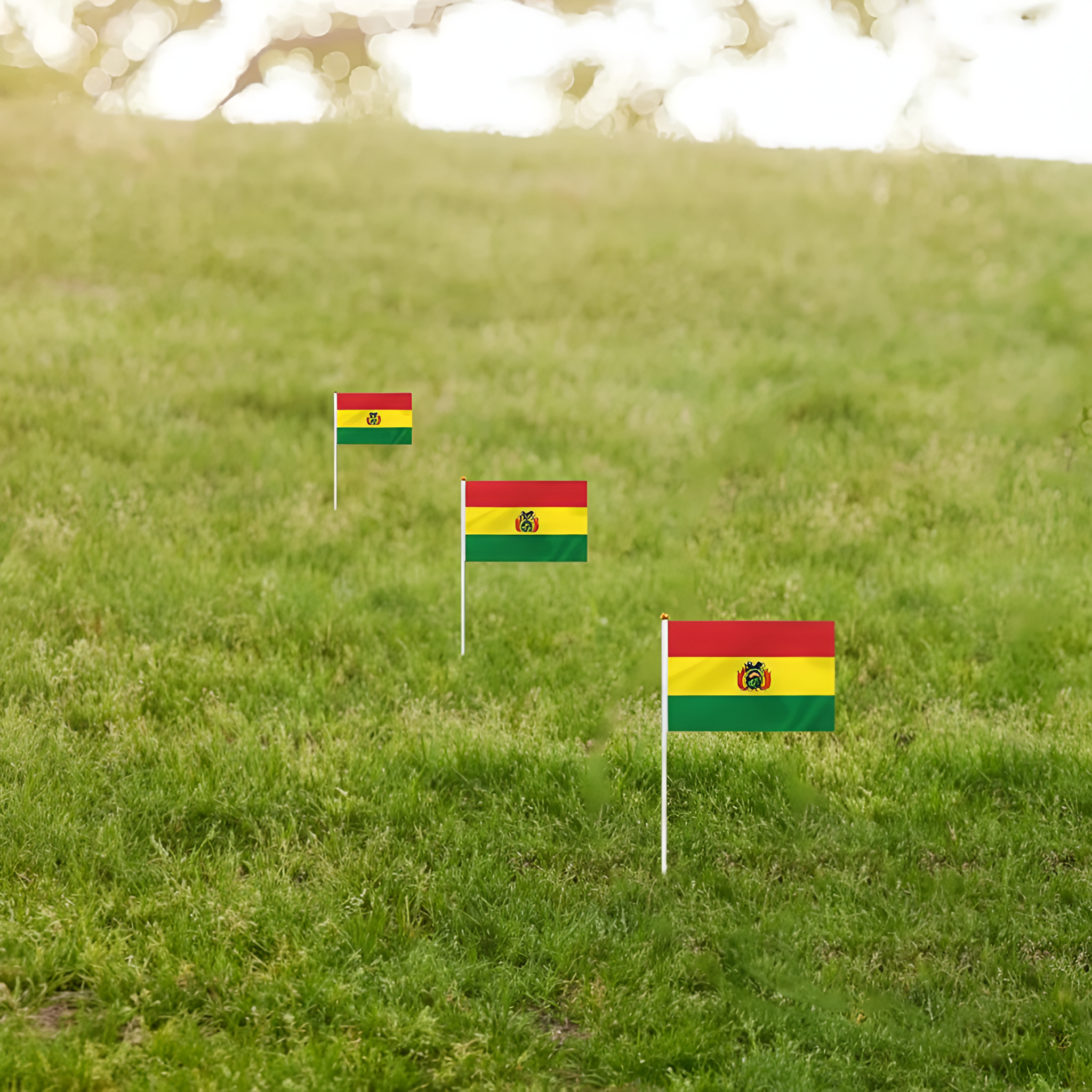 10 Pieces Of Official FIFA 2026 Bolivia Mini Flags