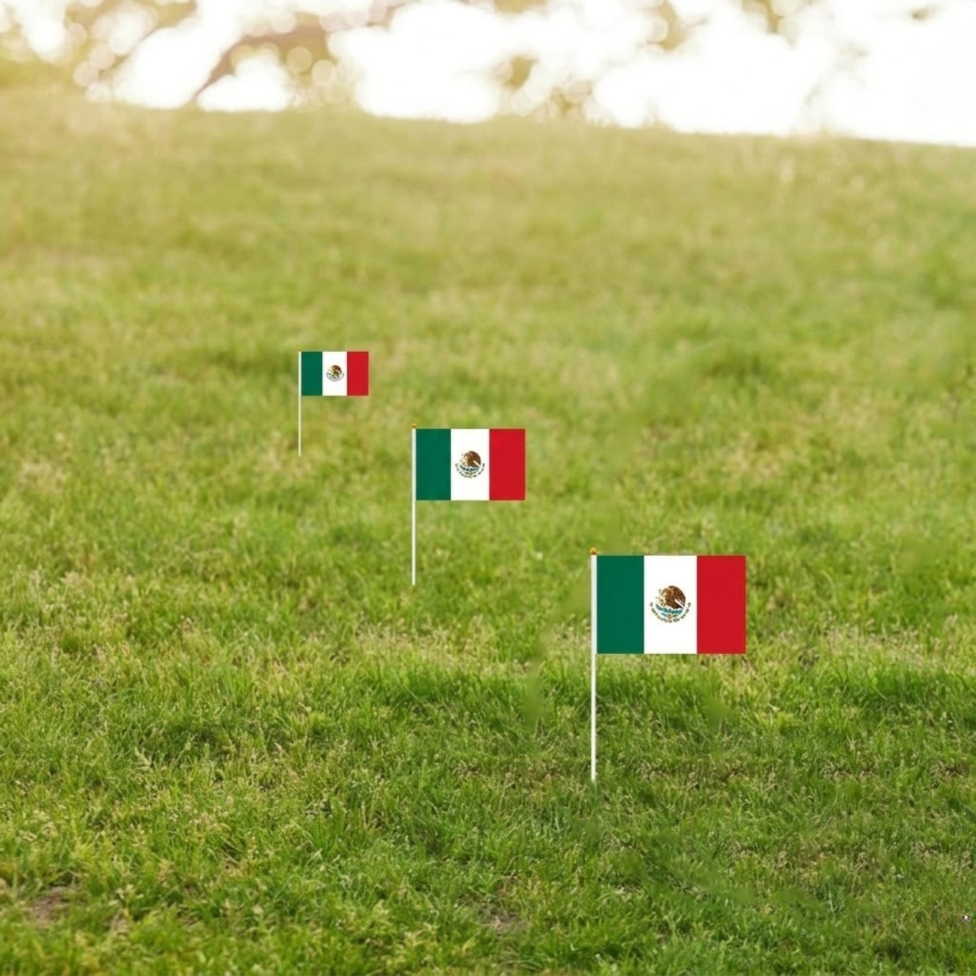 10 Pieces Of Official FIFA 2026 Mexico Mini Flags with brass grommet hardware detail