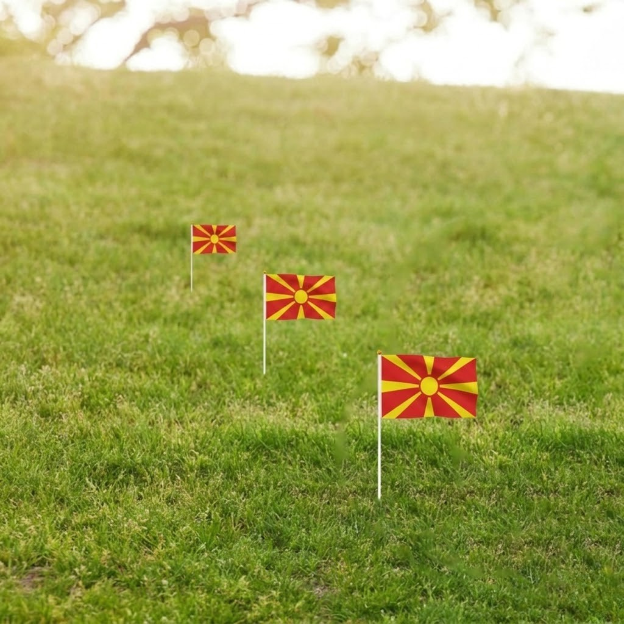 10 Pieces Of FIFA 2026 North Macedonia Mini Flag - brass grommets and reinforced edge detail