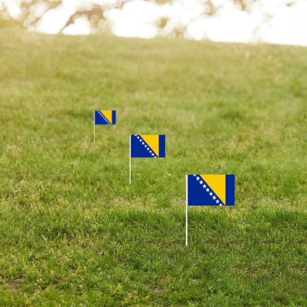 10 Pieces Of Official FIFA 2026 Bosnia and Herzegovina Mini Flags