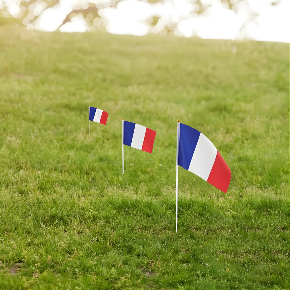 10 Pieces Of Official FIFA 2026 France Mini Flags