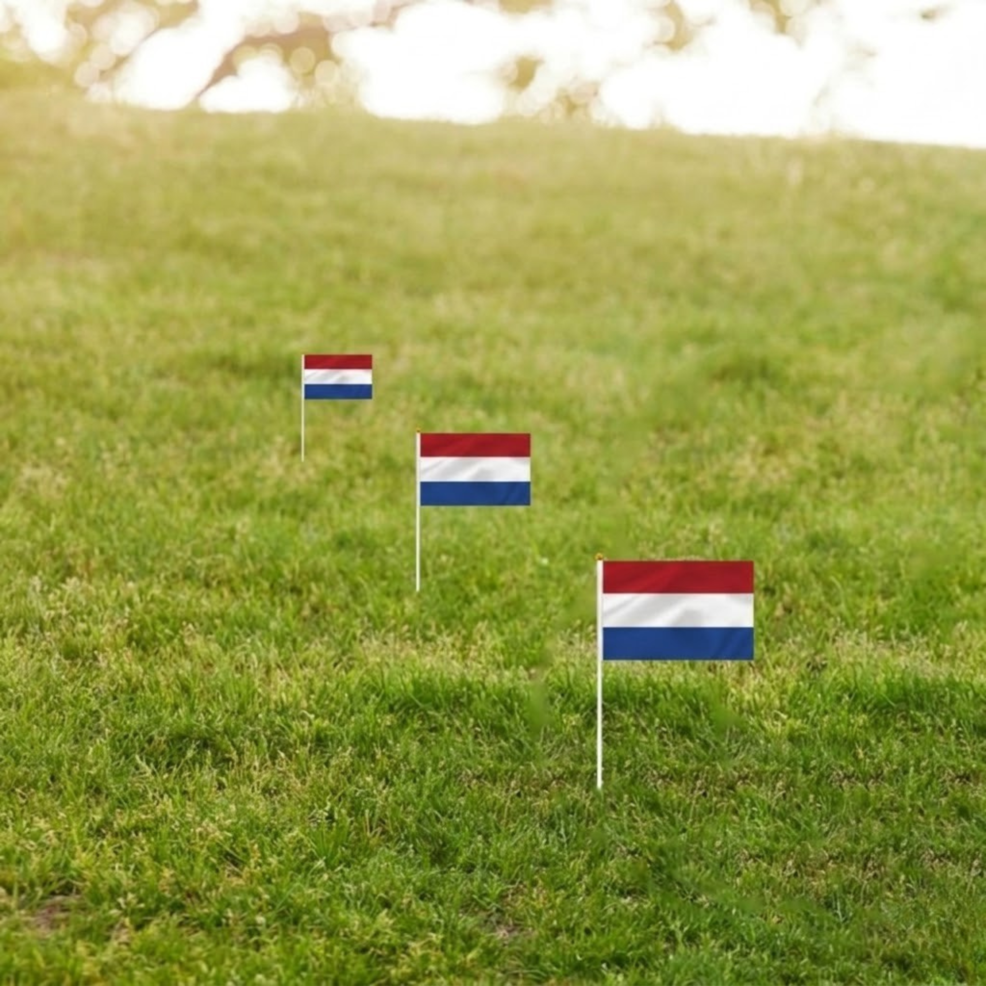 10 Pieces Of Official FIFA 2026 Netherlands Mini Flags