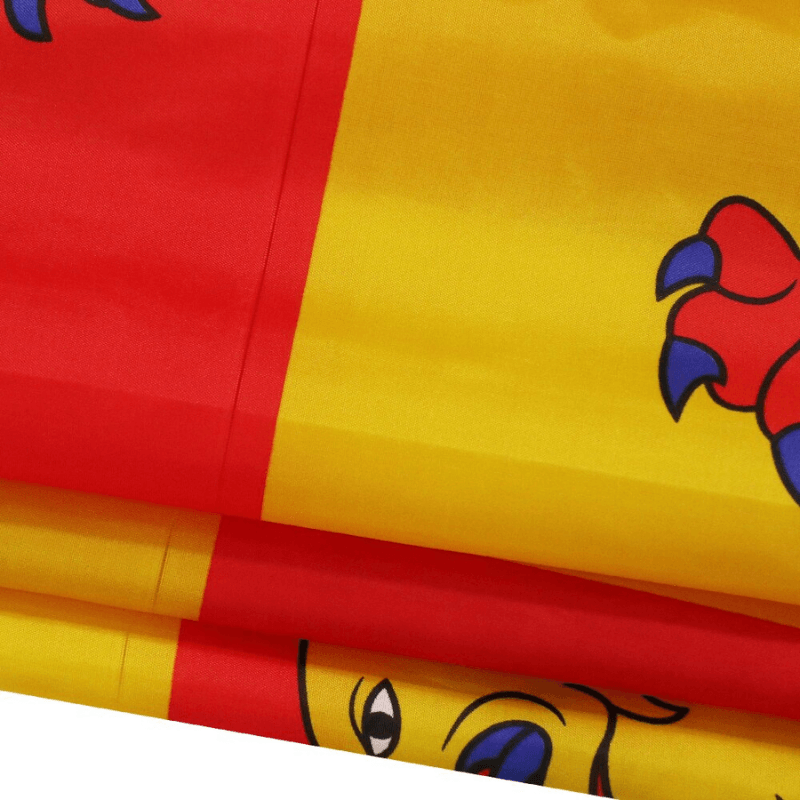 Welsh Owain Glyndwr Flag close-up showing fabric texture and vivid colors