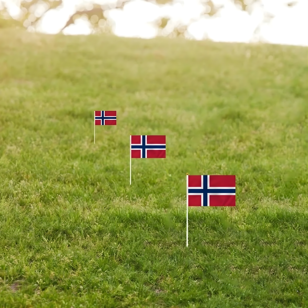 10 Pieces Of Official FIFA 2026 Norway Mini Flags
