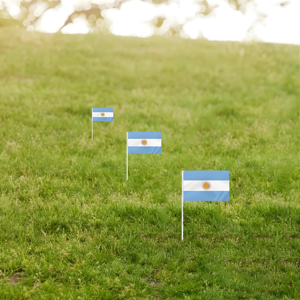 10 Pieces Of Official FIFA 2026 Argentina Mini Flags