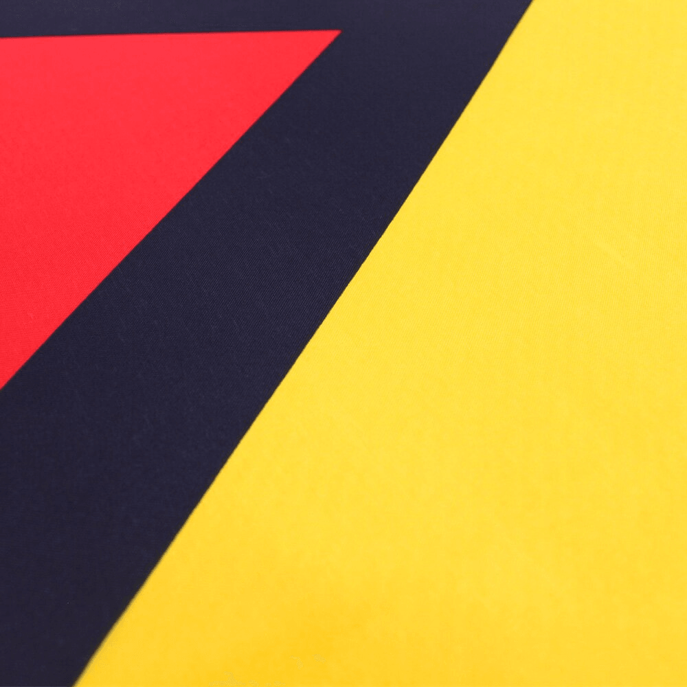 Guyanese Country Flag with brass grommet hardware detail