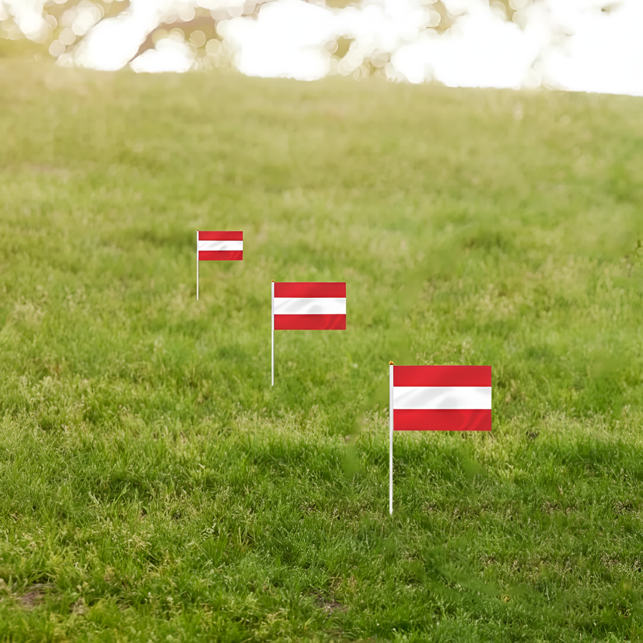 10 Pieces Of Official FIFA 2026 Austria Mini Flags