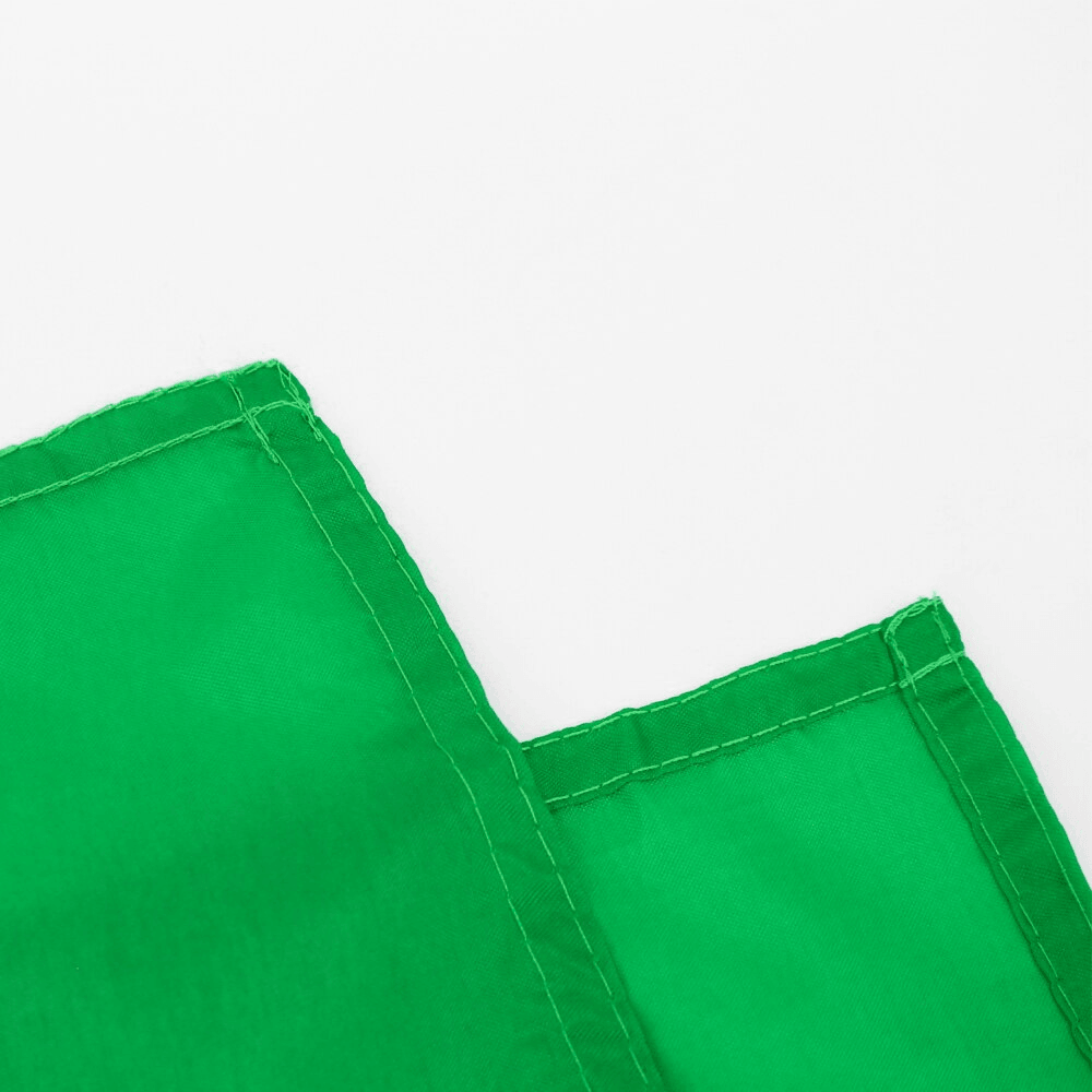 Guyanese Country Flag displayed indoors on wall mount