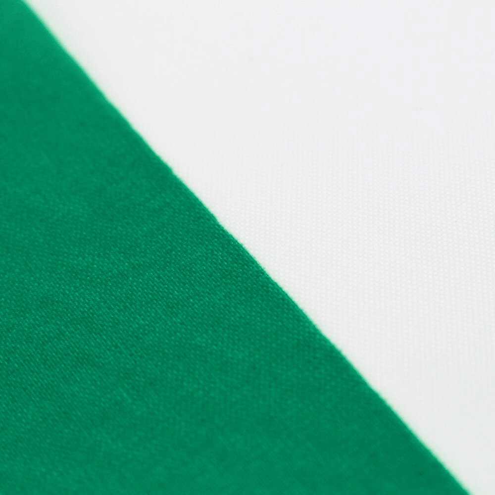 Italian Flag-Globe Flags