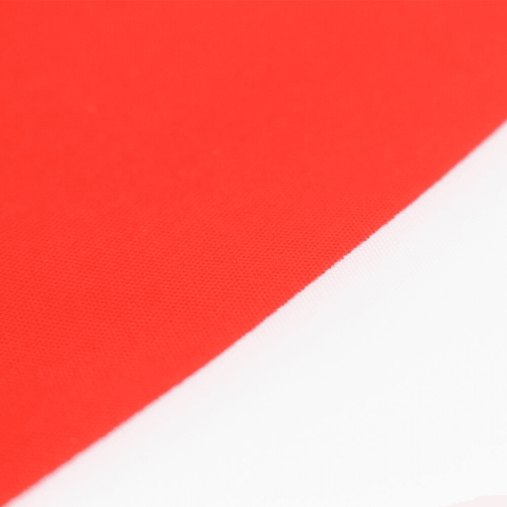 Japanese Flag-Globe Flags