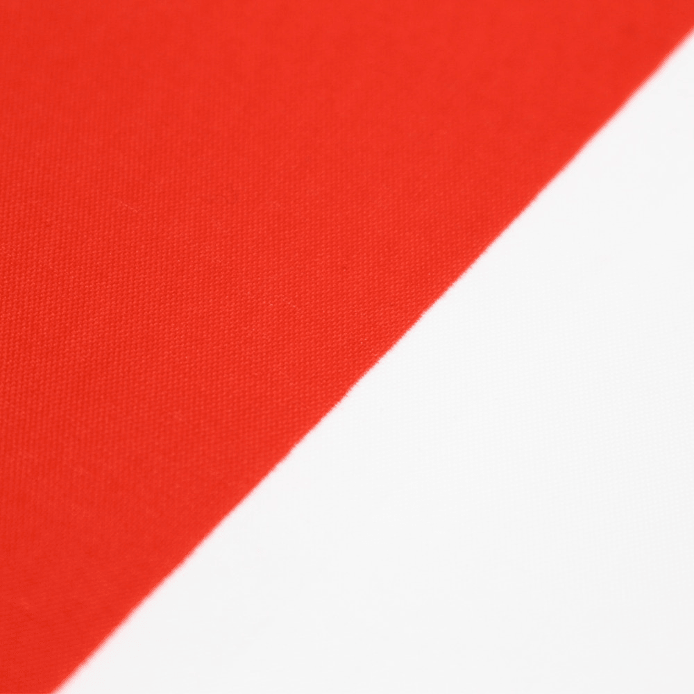 Monaco Flag Polyester Banner-Globe Flags