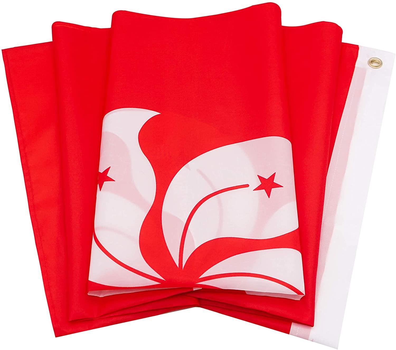 Hong Kong Car Flag mount hardware close-up