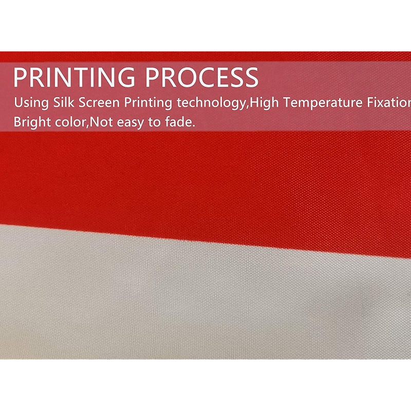 USA Flag 3x5 Ft Indoor Outdoor Polyester Decoration