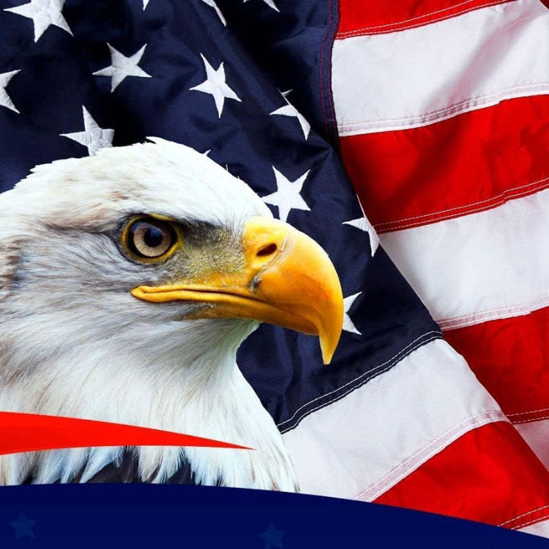 Embroidered Stars And Stripes American Flag Pack Of 3-Globe Flags