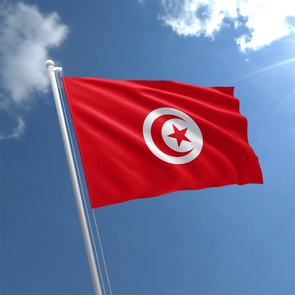 Tunisia National Display Flag-Globe Flags